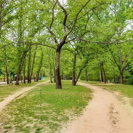 Acropolis With Parking Next To Center