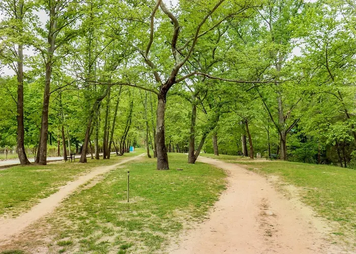 Acropolis With Parking Next To Center